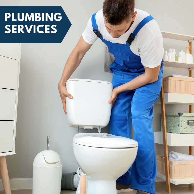 Plumbing Company in Ottawa Lake, MI